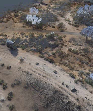 3D LiDAR point cloud scan showing an aerial view of a desert landscape with dirt roads and vegetation.
