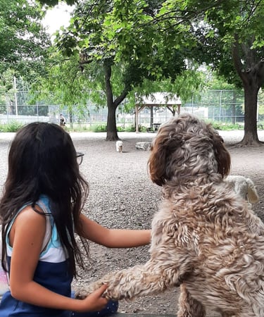 little girl holding a dog paws at the park