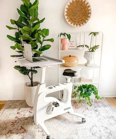 rolling desk bike