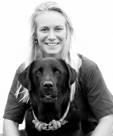 vet à biganos docteure carlier