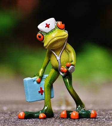 figura de rana enfermera