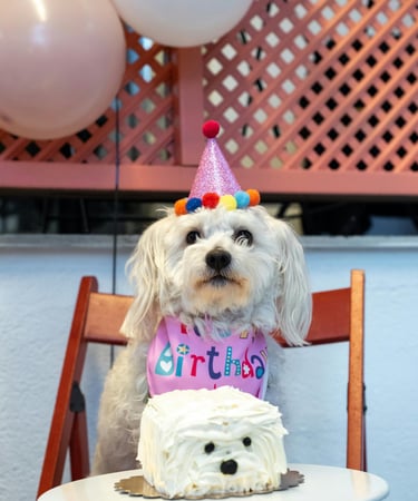 Gâteaux et cupcakes frais chien