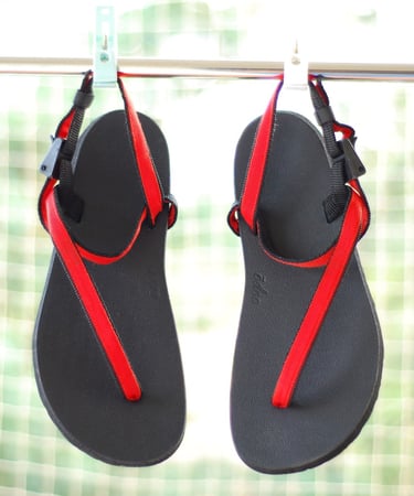 Ōdoo Spark Tx series