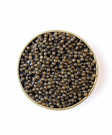bluga caviar marco pregiato no brasil