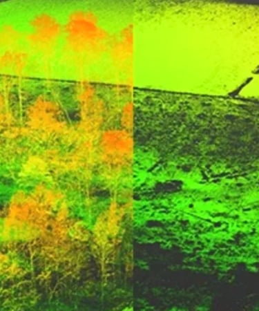 Comparison of LiDAR images showing DTM and DSM, 3D