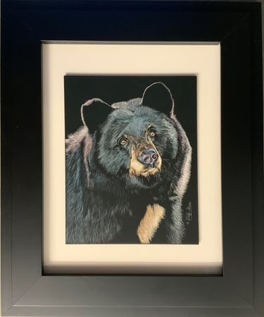 Framed black bear portrait art with realistic fur details on a black background.
