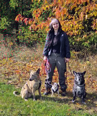 Mel von Randalehunde mit 3 Hunden