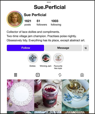 Not My Collector Series Fictional Critic Sue Perficial