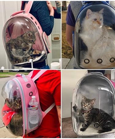 CAT CARRIER BACKPACK