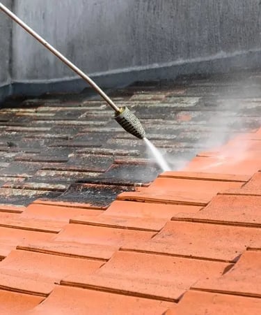 entretien tuile toiture a Guilherand Granges