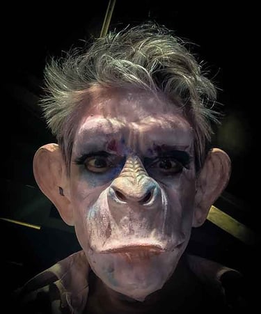 David Noir • un homme avec une face de singe