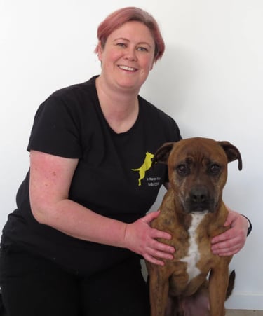 Karen Valu Veterinarian Physiotherapy Rehabilitation