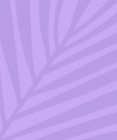 purple background with purple leaf
