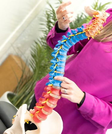 spine