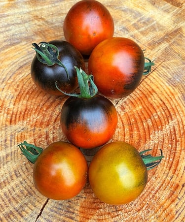 COPPER OLIVE TOMATO - Clusters of small, round tomatoes with coppery-brown skin and olive-green 
