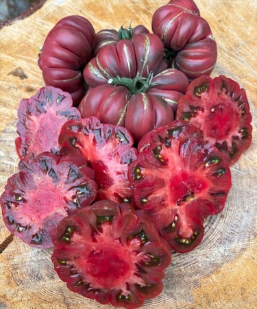 ZAPOTEC BROWN FLESH - Rare Mexican Heirloom 