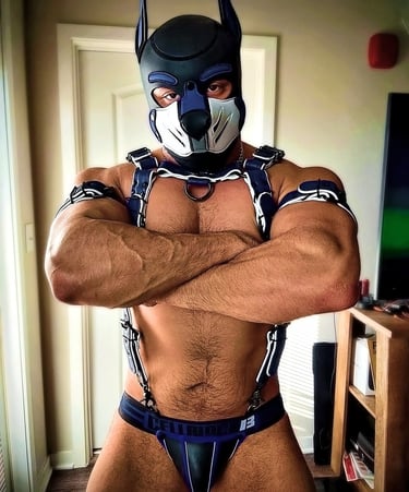 A man posing in his pup mask and harness.