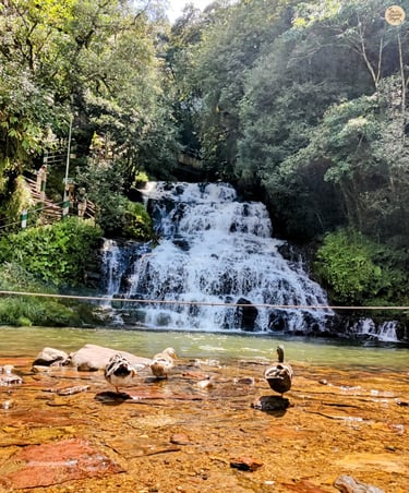 Elephant Falls, Third Tier – Shillong’s Grand Waterfall Finale in Full Flow