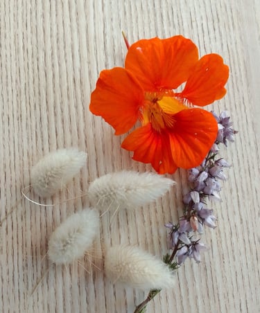 Réflexologie plantaire, palmaire à Laillé