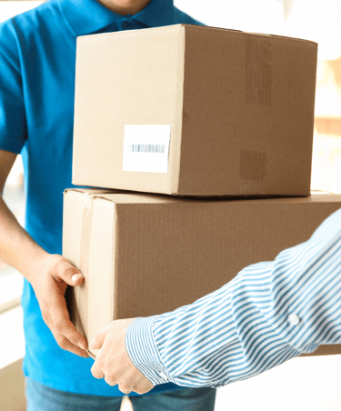 belanja groceries online