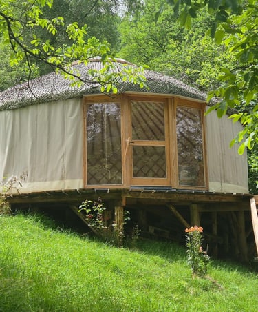 La yourte dans son cadre naturel