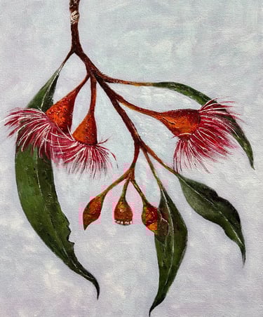 Eucalyptus blossoms painted in Acrylic
