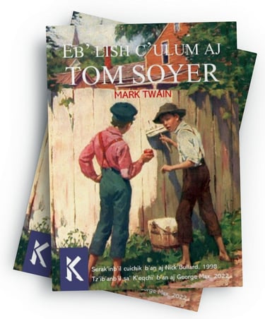 Mock-up of two superposed books with the title TOM SAWYER