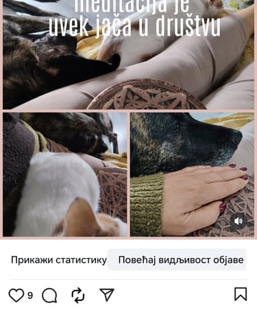 Životinje jako dobro osećaju energije. Uvek su prisutne blizu uredjaja.