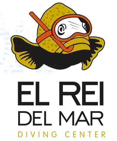 El Rei del Mar Diving Center L'Estartit Illes Medes