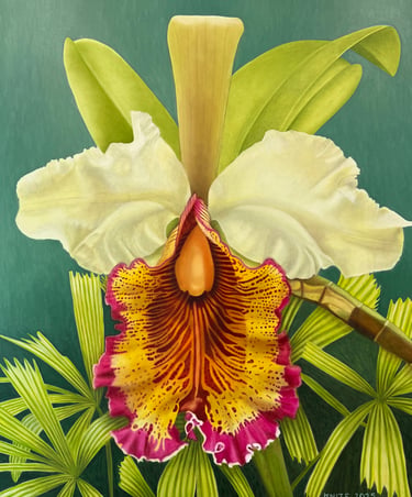 Christine Knize, Cattleya Dowiana, 60"x72", Oil on Canvas, Large Scale Painting