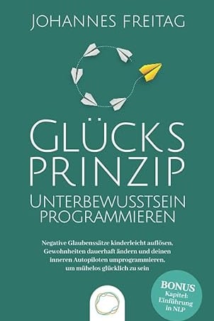 a book cover of a book with a paper plane