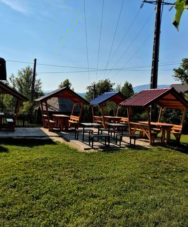 mese cu bănci și acoperiș imagine 2