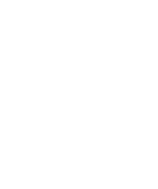 blason blanc logo verba stylica