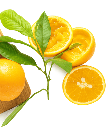 Trentasei Laranja da Sicília