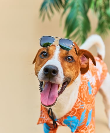 Perro feliz con gafas de sol y camisa hawaiana naranja en unas vacaciones tropicales.
