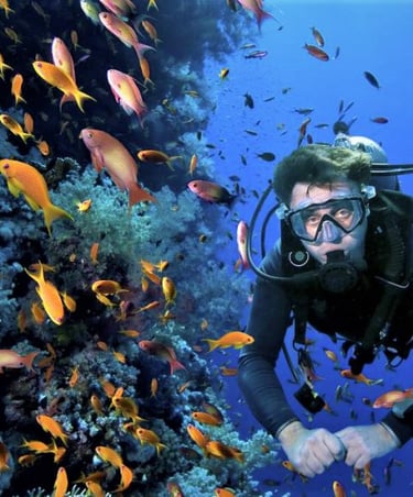 Buceo