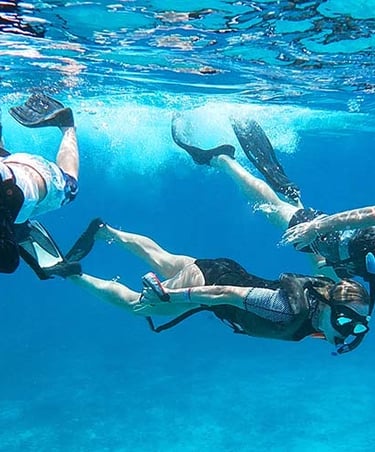 Snorkel