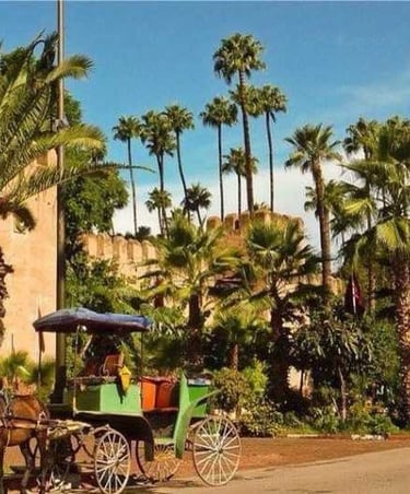 a horse drawn carriage in front of a building in taroudant