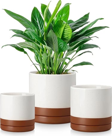 Scandinavian Ceramic Plant Pots – Set of 3 Indoor Planters with Drainage for Succulents & Snake Plan