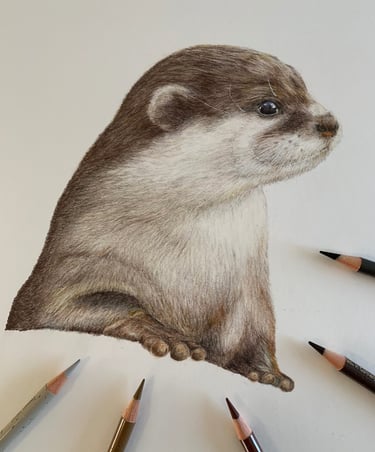 Otter