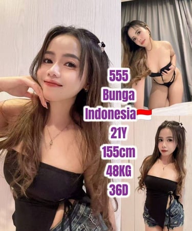Austin Escort Girl