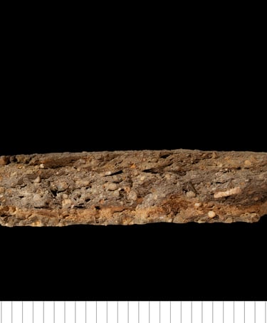 BMCWG - Bury medieval coarseware gritty