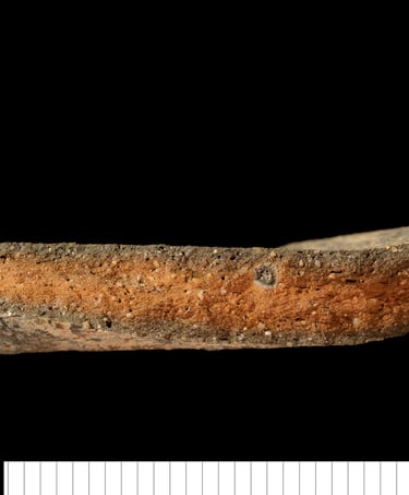 BMSDW - Bury medieval shell-dusted ware