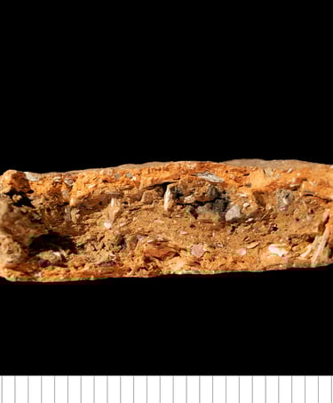 EMWS - Shelly early medieval ware