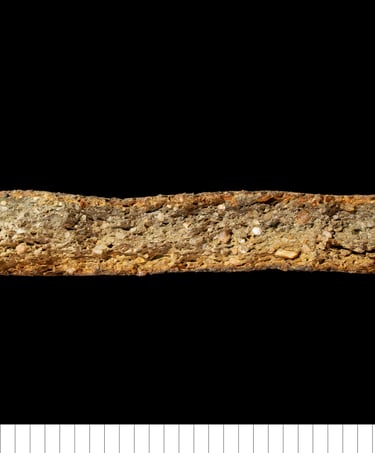 MSSBW - Medieval south Suffolk blackware (coarse version)