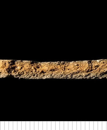 BMCW - Bury medieval coarseware