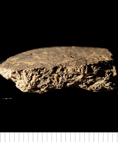 EMWSG - Gritty EMWSS