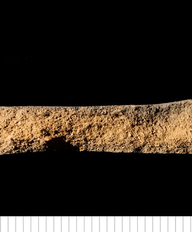 MIPS - Medieval Ipswich coarseware