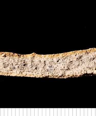 MSSCW - Medieval south Suffolk coarseware