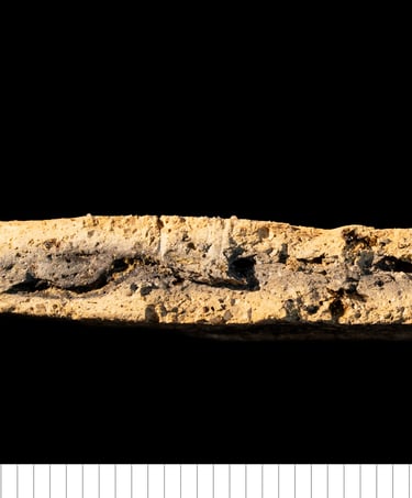 RCSW - Rougham coarse sandy ware